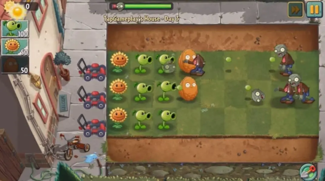 Piñata Party