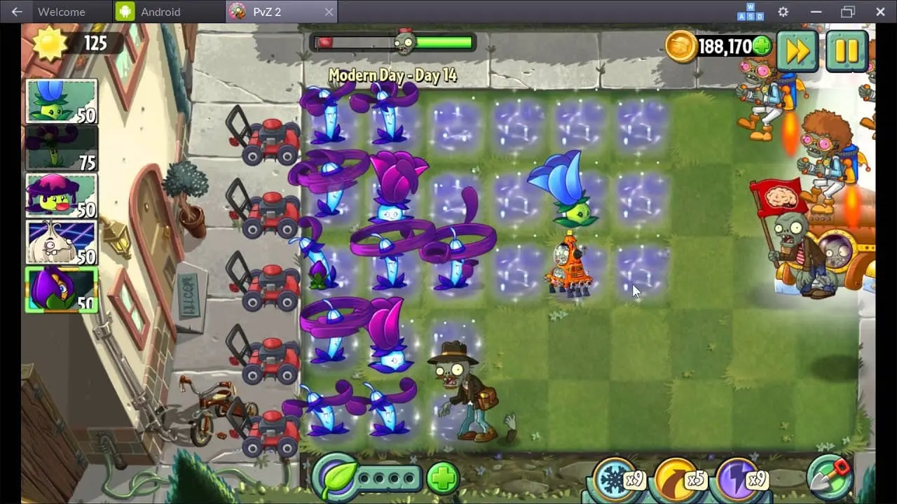 Piñata Party event